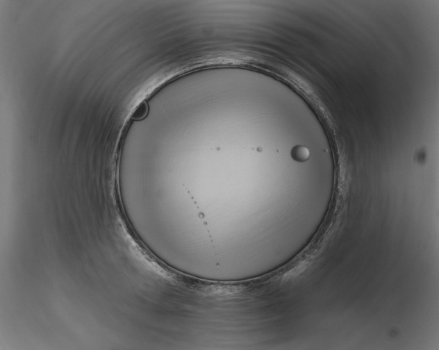 X0000116650802200912291615