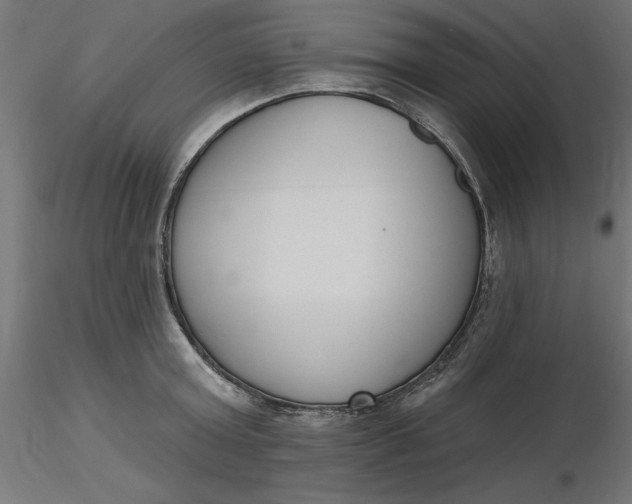 X0000116650803200912291615