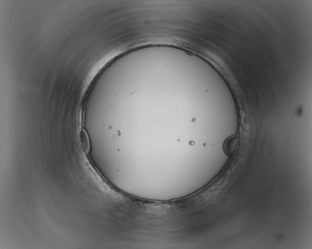 X0000116650804200912291615