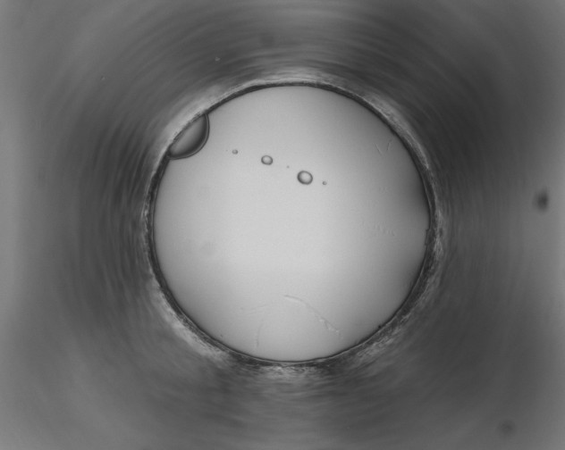 X0000116650805200912291615