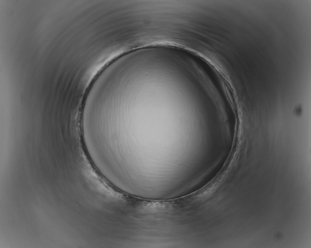 X0000116650806200912291615