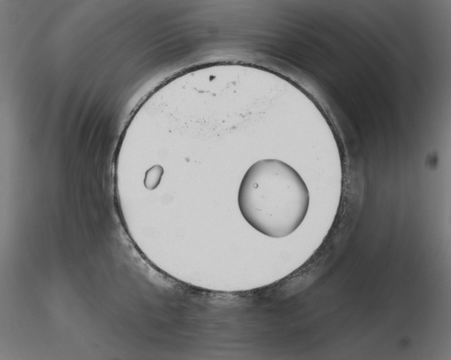 X0000116650807200912291615