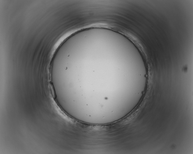 X0000116650808200912291615