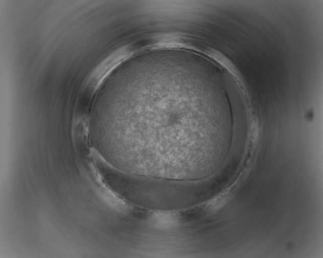 X0000116650809200912291615