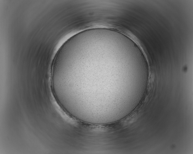 X0000116650811200912291615