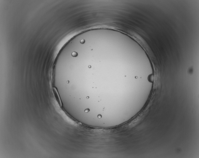 X0000116650812200912291615