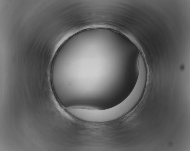 X0000116650813200912291615