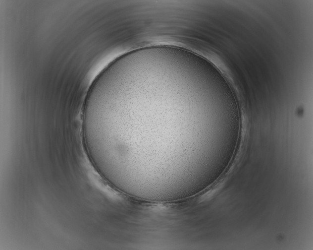 X0000116650814200912291615