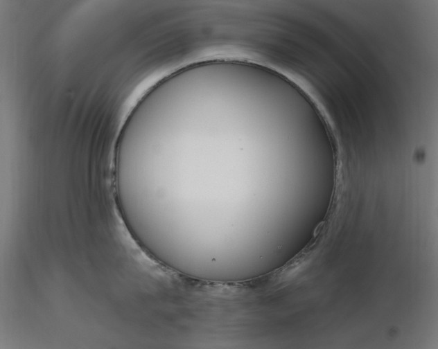 X0000116650815200912291615