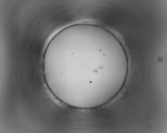 X0000116650816200912291615