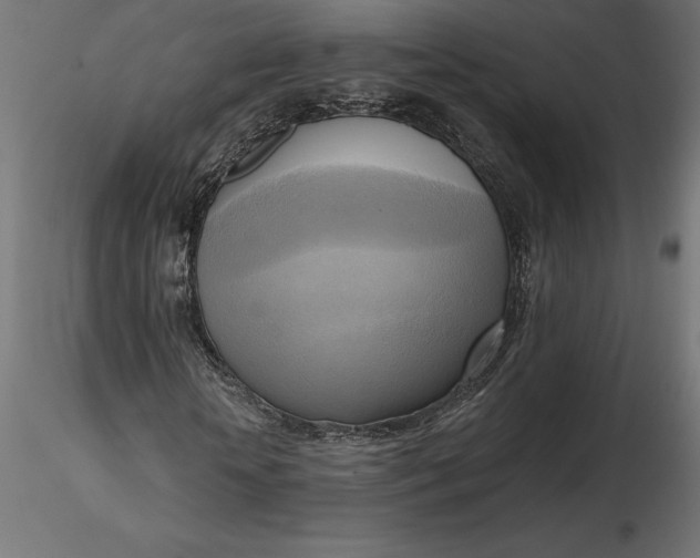 X0000116650818200912291614