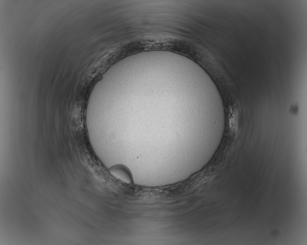 X0000116650819200912291614