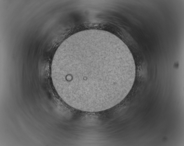 X0000116650820200912291614