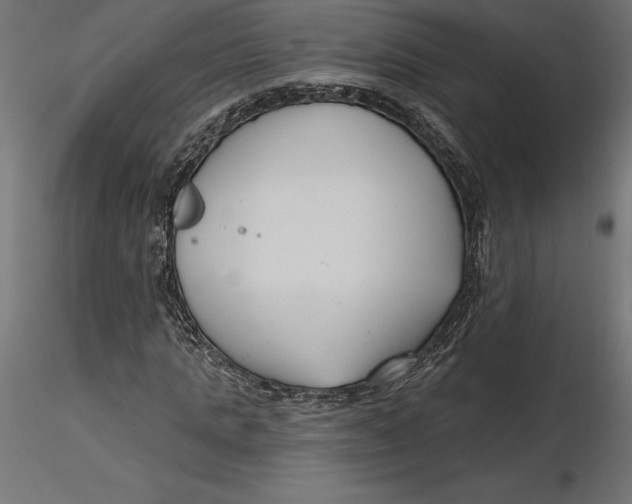 X0000116650821200912291614