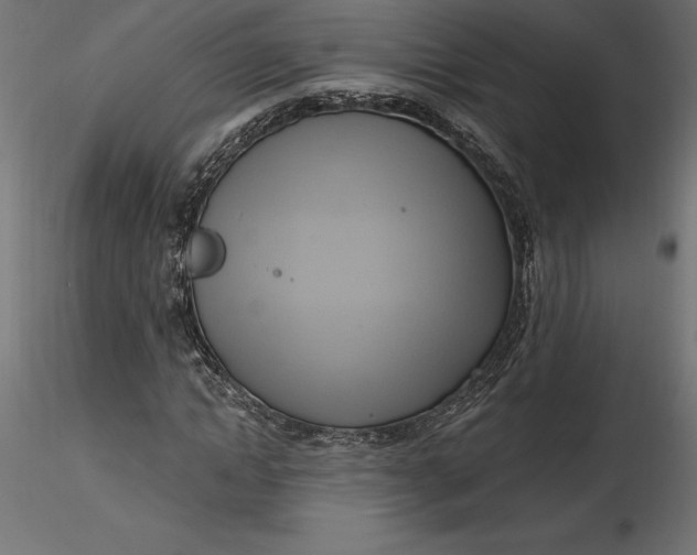 X0000116650822200912291614