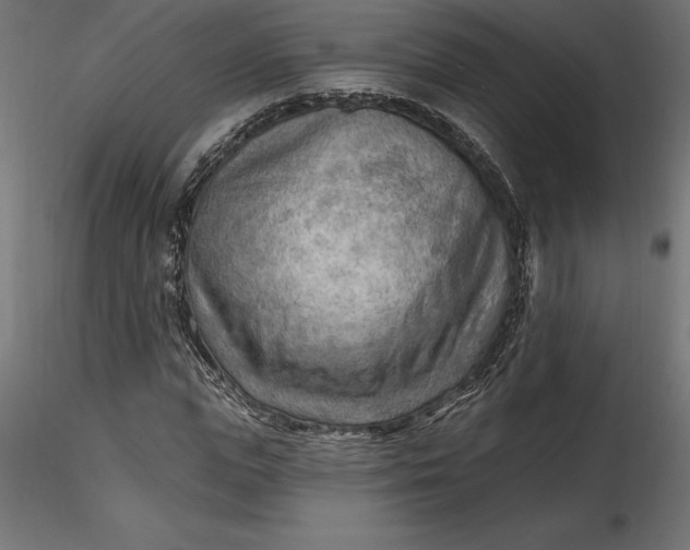 X0000116650823200912291614