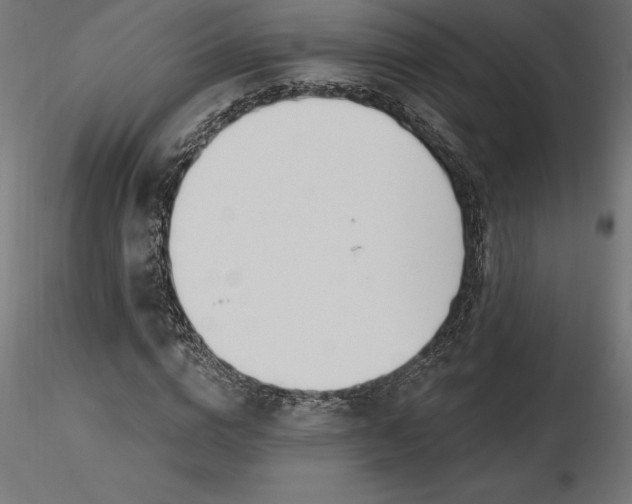 X0000116650824200912291614