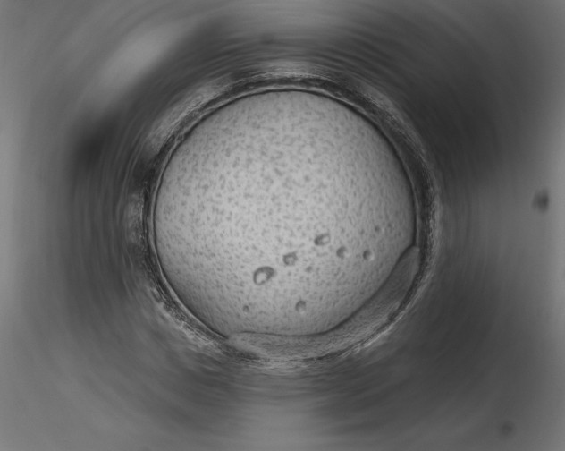 X0000116650825200912291614