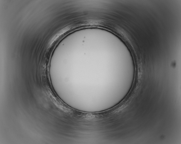 X0000116650827200912291614