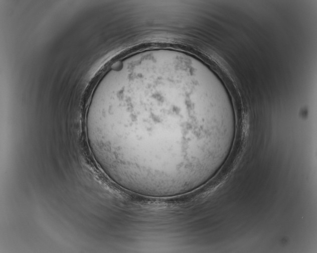 X0000116650829200912291614