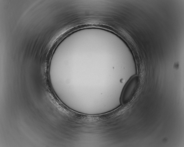 X0000116650831200912291614