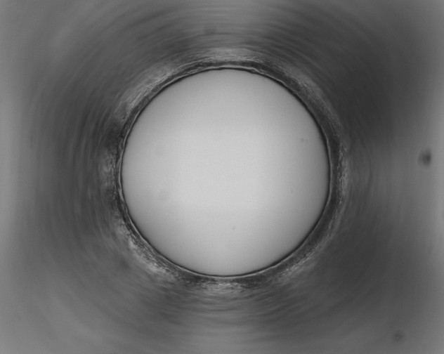 X0000116650833200912291614