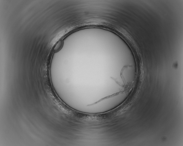 X0000116650834200912291614