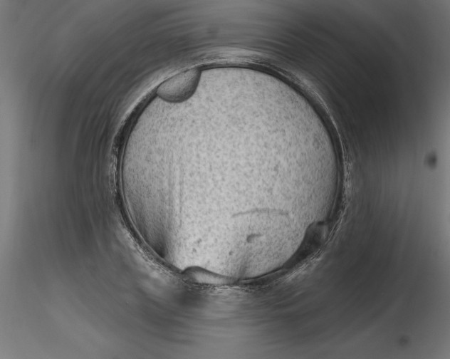 X0000116650835200912291614