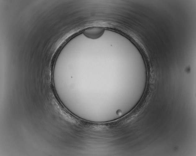 X0000116650837200912291614