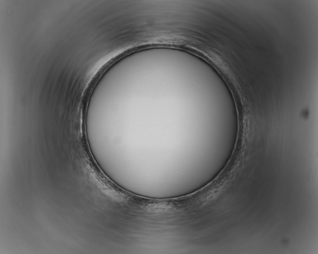 X0000116650838200912291614