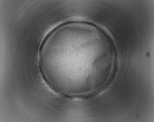 X0000116650839200912291614