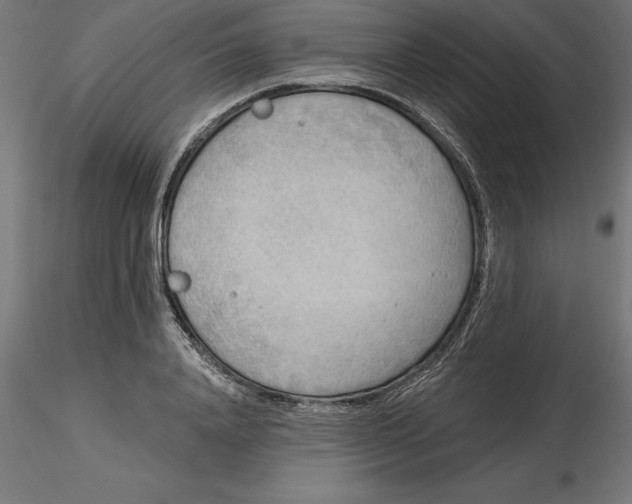 X0000116650840200912291614