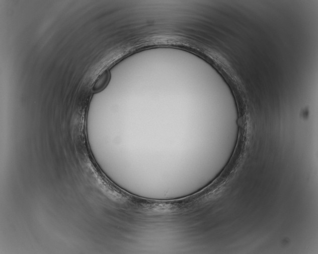 X0000116650841200912291614