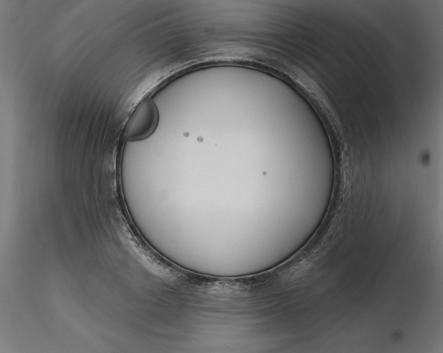 X0000116650842200912291614