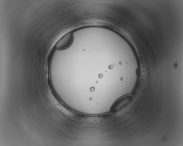 X0000116650843200912291614