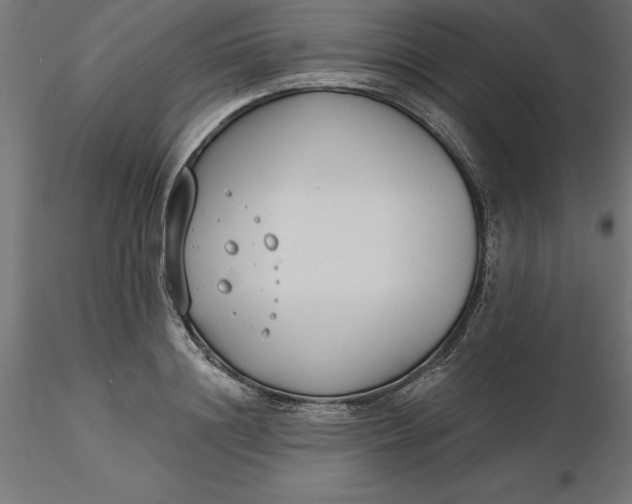 X0000116650844200912291614