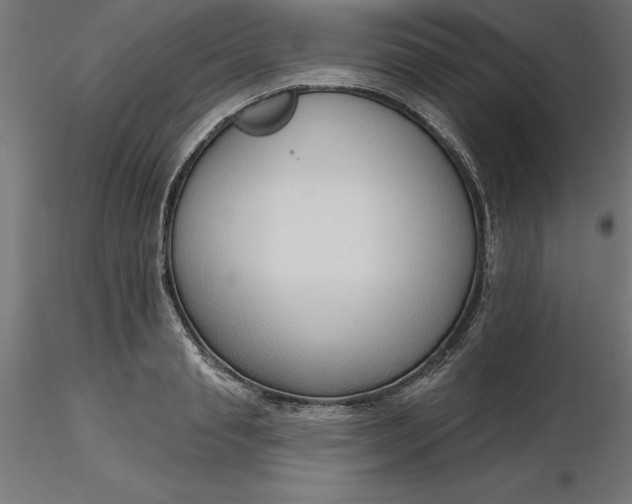 X0000116650845200912291614