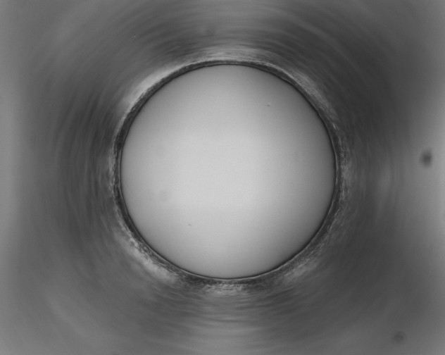 X0000116650846200912291614