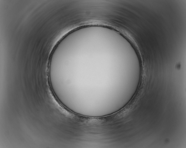 X0000116650847200912291614