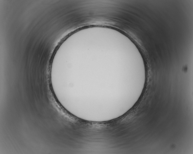 X0000116650848200912291614