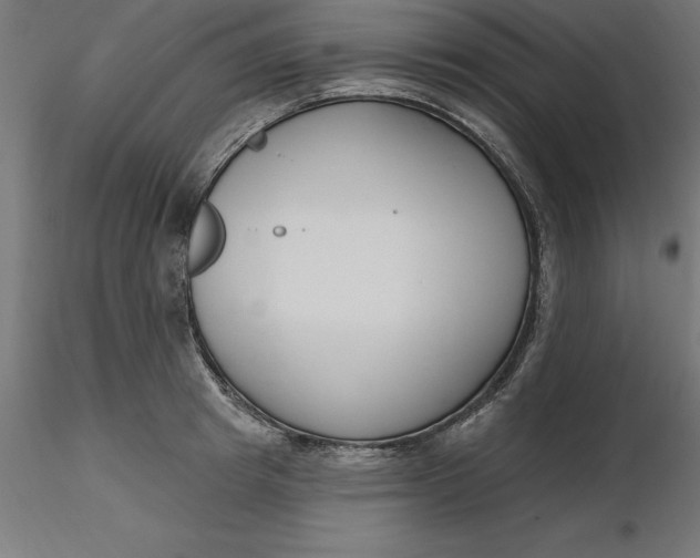 X0000116650849200912291614