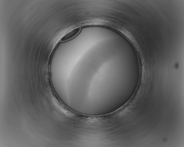 X0000116650850200912291614