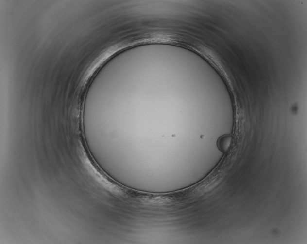 X0000116650851200912291614