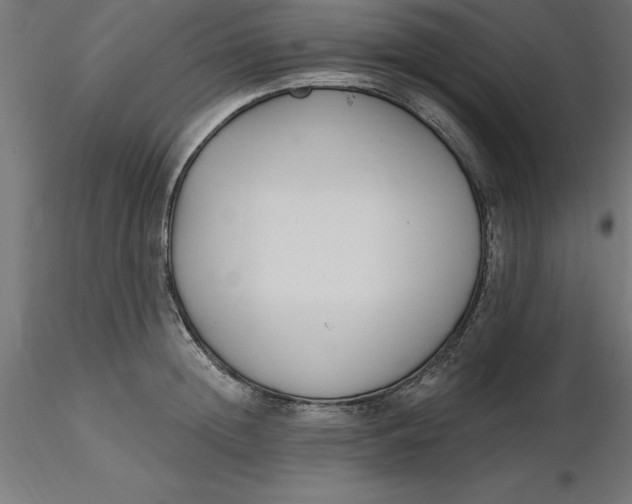 X0000116650852200912291614