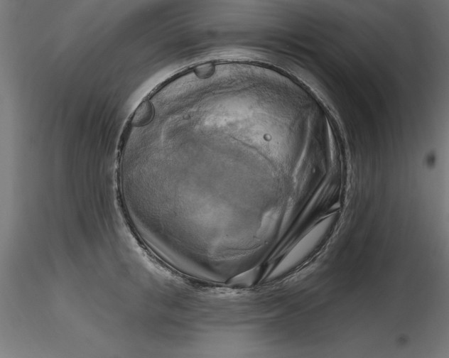 X0000116650853200912291614