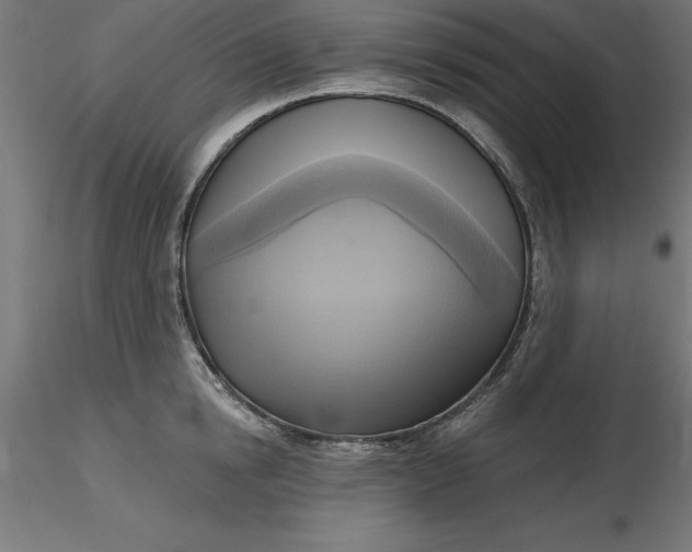 X0000116650854200912291615