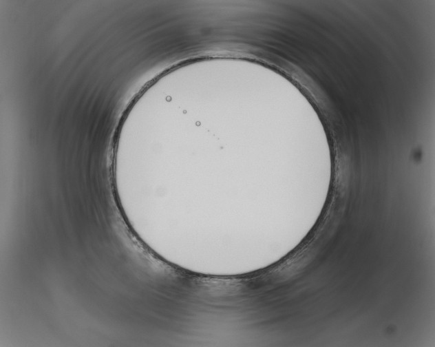 X0000116650856200912291615