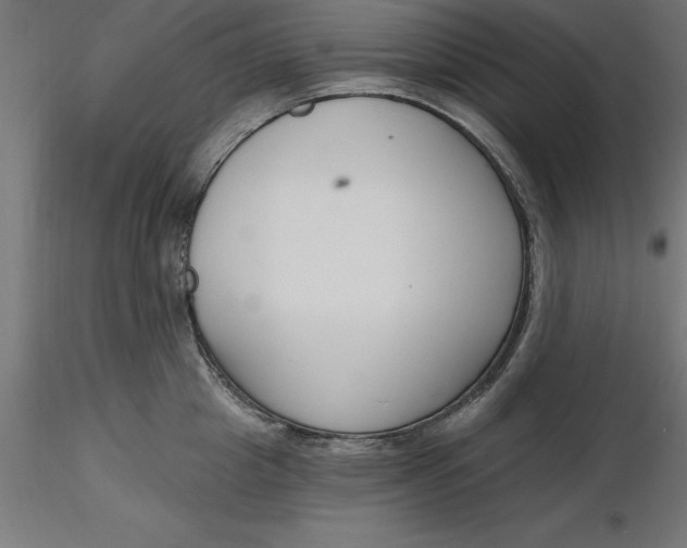 X0000116650857200912291615