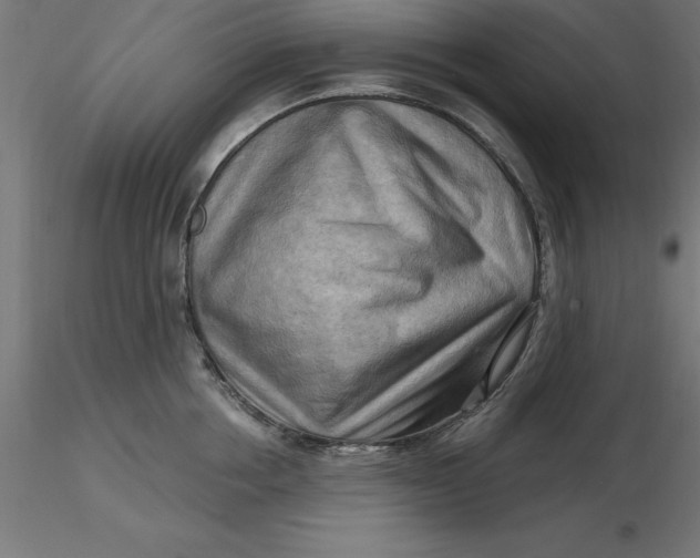 X0000116650858200912291615