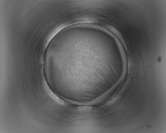 X0000116650859200912291615